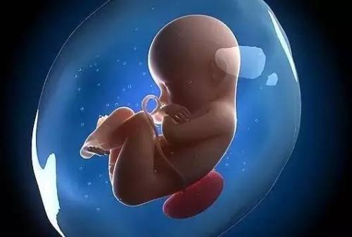 新乡哪家医院做供卵试管婴儿成功率高？供卵试管婴儿一般需要多长时间才能怀孕