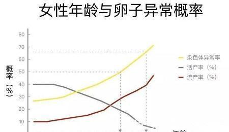 染色体平衡易位自怀NT正常