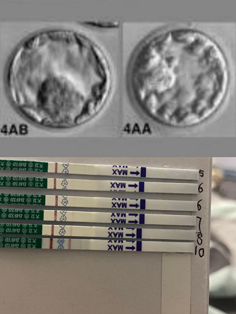 有正规的试管代怀吗的成功率高吗试管代怀合法吗过程