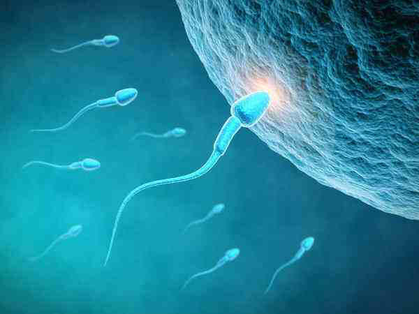 精子分离术真的能生男孩吗,哪里能做精子分离术