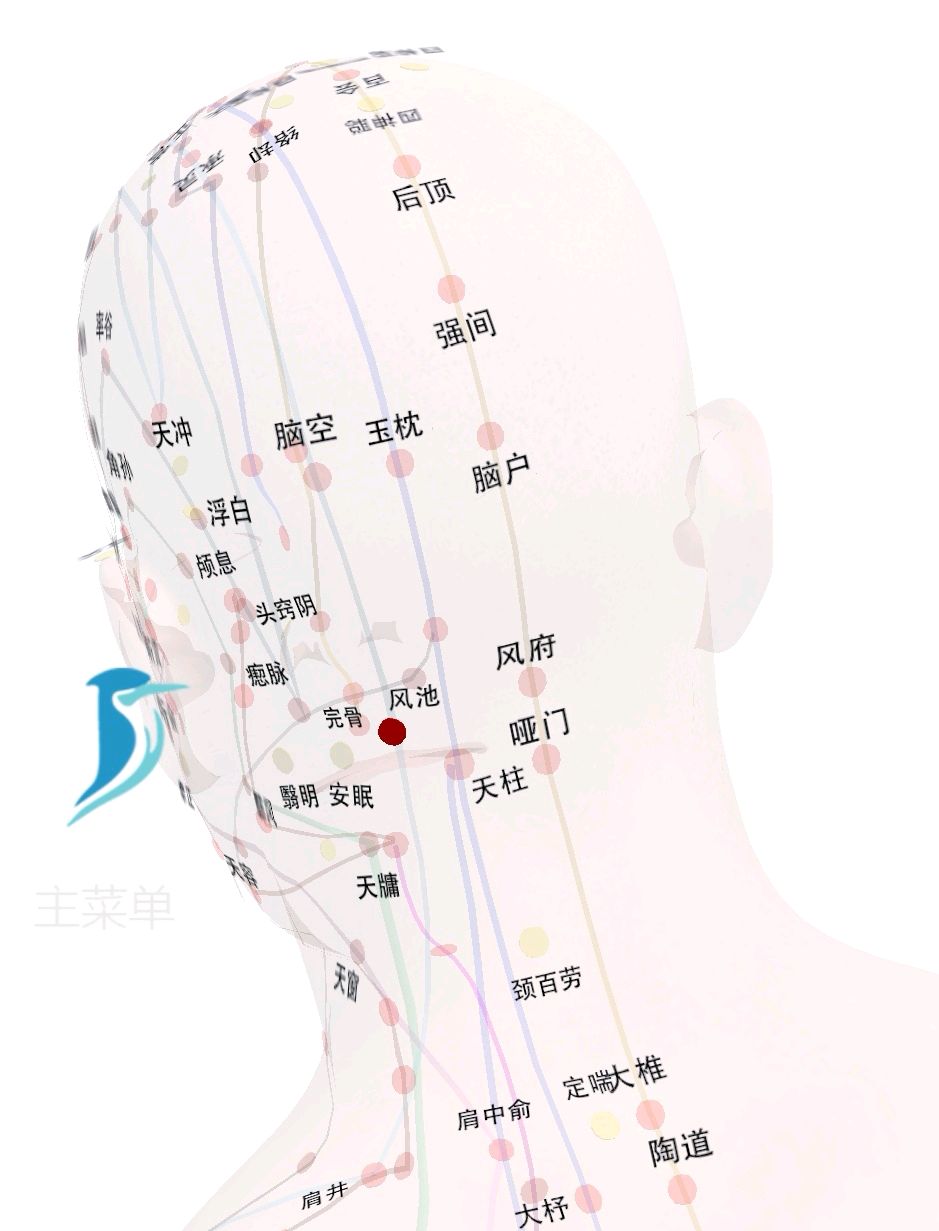 私立试管代怀医院胎动在几个月_试管代怀方法移植几个胚胎合适