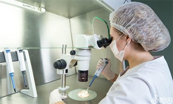 郑州供卵公立医院一次成功（有可能吗？）