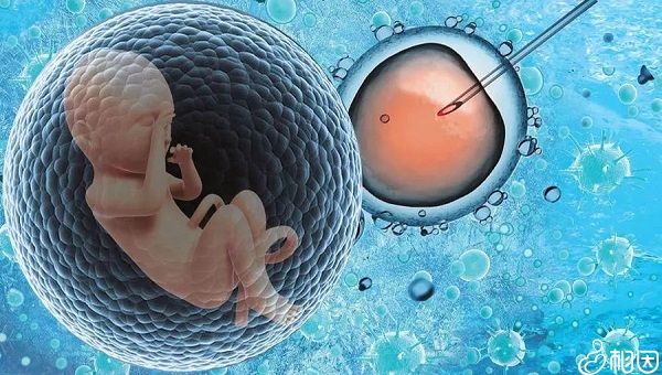 私人医院试管卵子代生男女能选男孩是真的吗（试管代生龙凤胎婴儿注意事项？）
