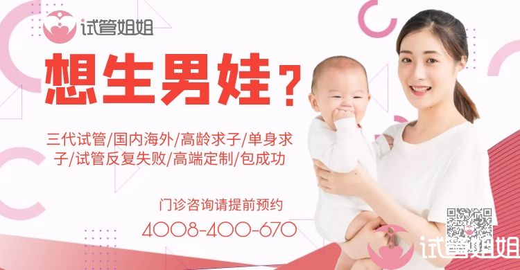 供卵试管公司电话4c是几级胚胎